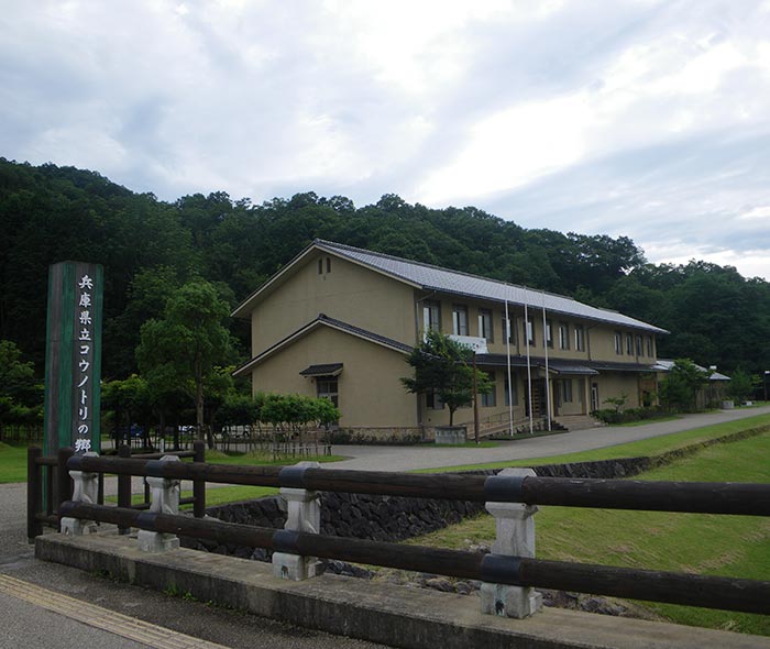 The Toyooka Konotori stork Museum