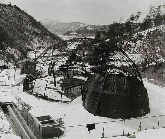 Old Konotori stork conservation enclosure